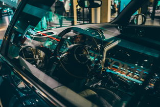 世界高速滑轮挑战赛中国少年展现实力，世界滑轮比赛视频